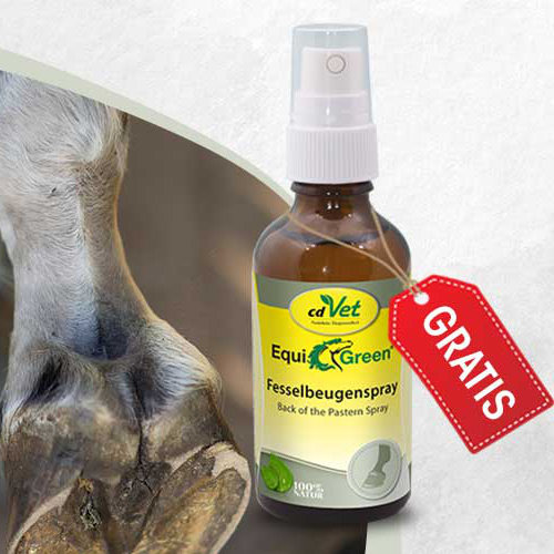 cdVet Gratis-Zugabe: EquiGreen Fesselbeugenspray
