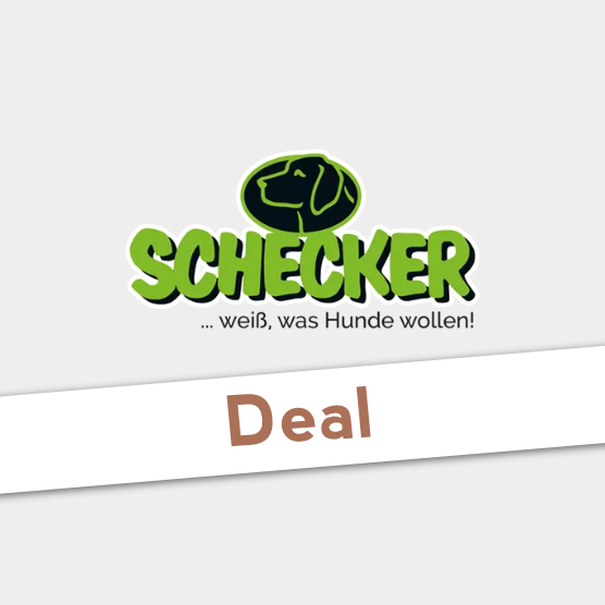 Online Adventskalender 2022