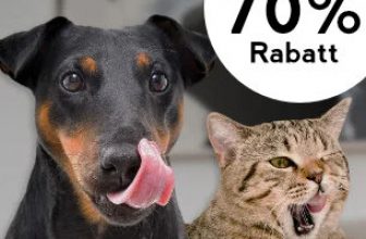 Schnell sein: nicht mehr lang haltbares Futter retten