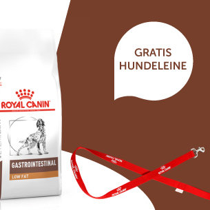 ZooRoyal: Gratis Hundeleine von ROYAL CANIN