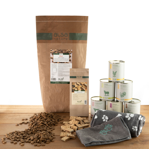 alsa-hundewelt Spendenaktion 2024