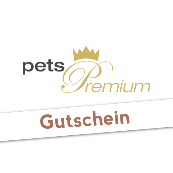 Gutschein für Outdoor-Führleine mit Reflektoren