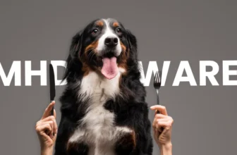 Ein Hund freut sich auf sein Futter