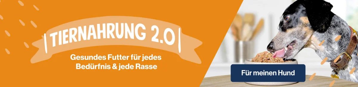 Hundefutter bei PetsDeli