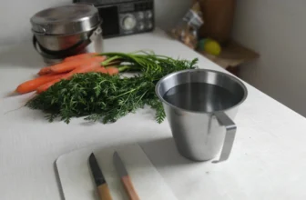 Morosche Suppe für den Hund: Karottensuppe als Schonkost bei Durchfall