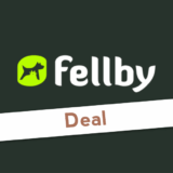 Adventskalender bei Fellby 2025