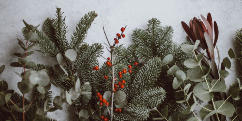Online-Adventskalender & Weihnachts- Aktionen