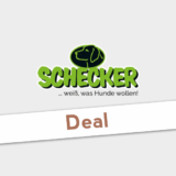 Schecker online Adventskalender 2023